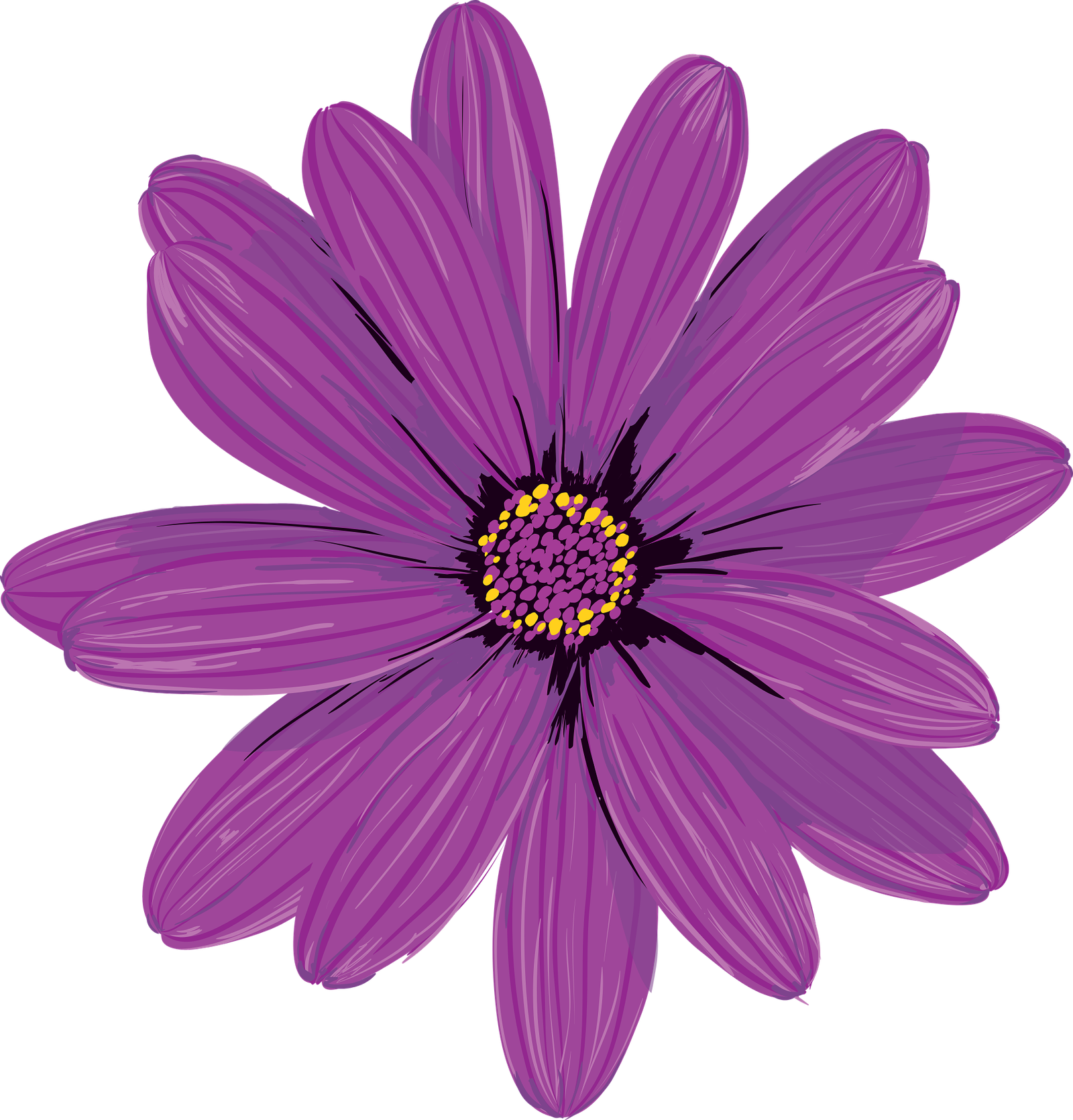 Flower purple